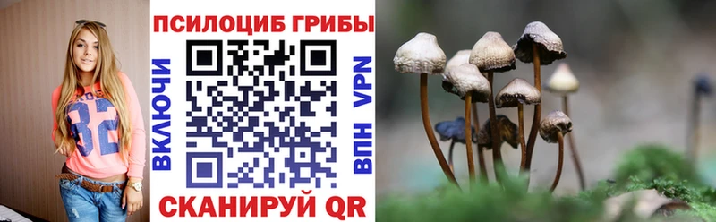 Псилоцибиновые грибы мицелий  Дальнегорск 